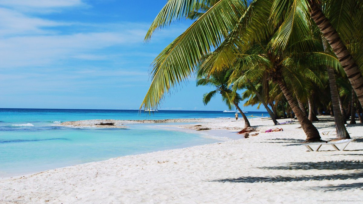 PrincessHotels's tweet photo. Isla Saona is a must in your next trip to #BavaroPrincess. Ask our water sport center #SeaProDivers. #TravelTuesday https://t.co/EbpDb26gbR