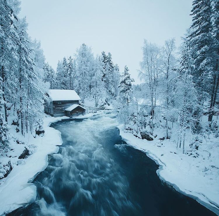 getlostinforest's tweet photo. Finland is beautiful ❄️💧 https://t.co/vuB74MJgis