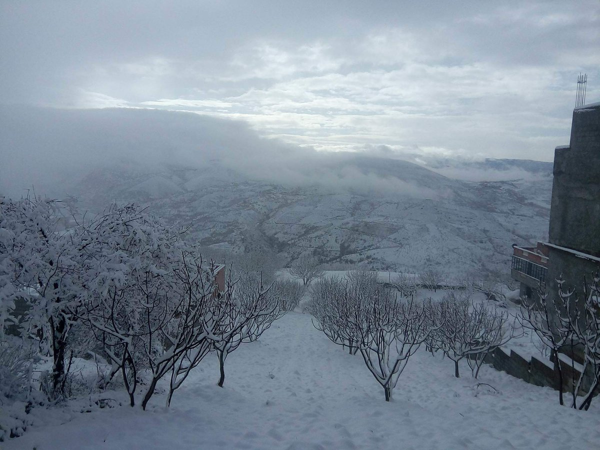 PlusOxygene's tweet photo. NEIGE EN KABYLIE.

Pas d'inquietude, les abeilles de Abid vont former une grapoe compacte pour se rechauffer. 

https://t.co/jOlkbzCcOO https://t.co/wCOeGXWDC3