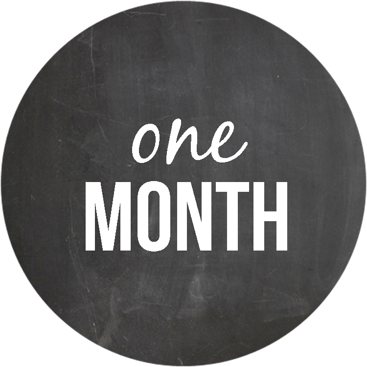 Ultraman_FL's tweet photo. One month 'til #UMFL2017 -- are you ready? https://t.co/HLTH82bcaQ