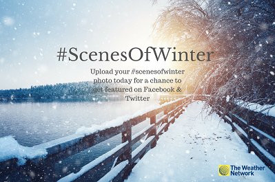 TheWeatherNetUS's tweet photo. Don't forget to share your #ScenesOfWinter with us! Upload today for a chance to be featured on our social platforms https://t.co/5RedWazFI3 https://t.co/PB6IvWjKcL
