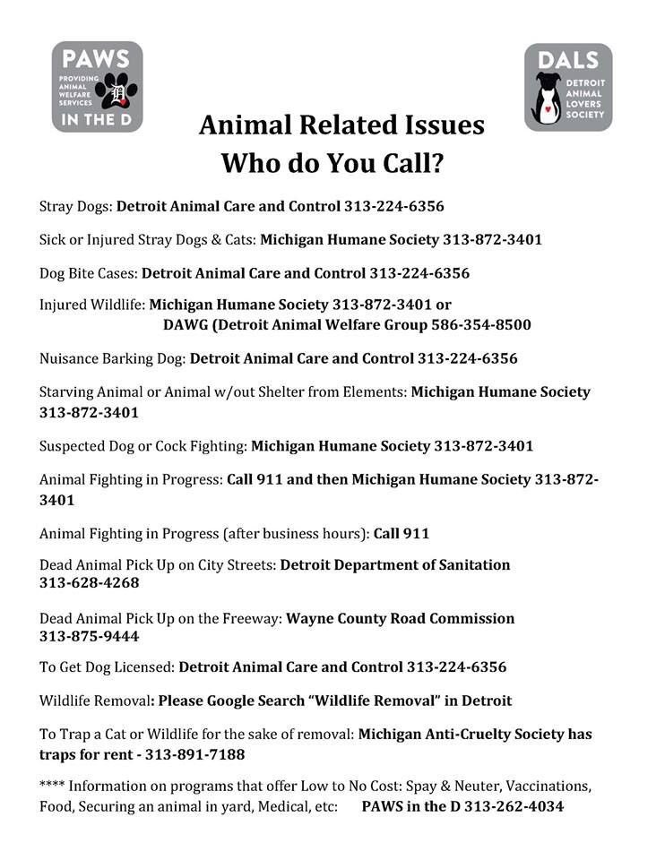 chainedinc's tweet photo. Here is a guide to help you help an animal in need. 😇 https://t.co/gwlt7WiZ4P
