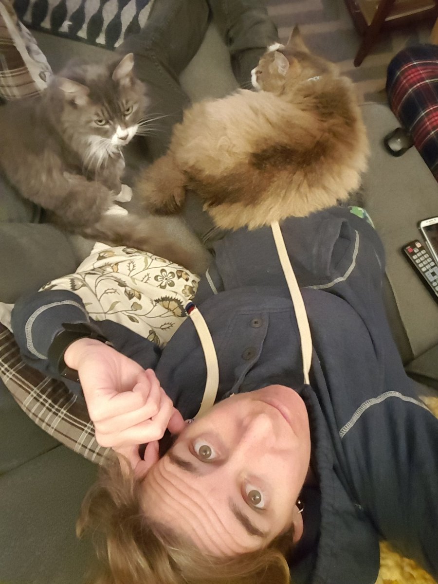 sharteks's tweet photo. Wifey: No more animals.
Me: I have more lap that needs warming.
#compoundproblems https://t.co/gU9m9EJKWL