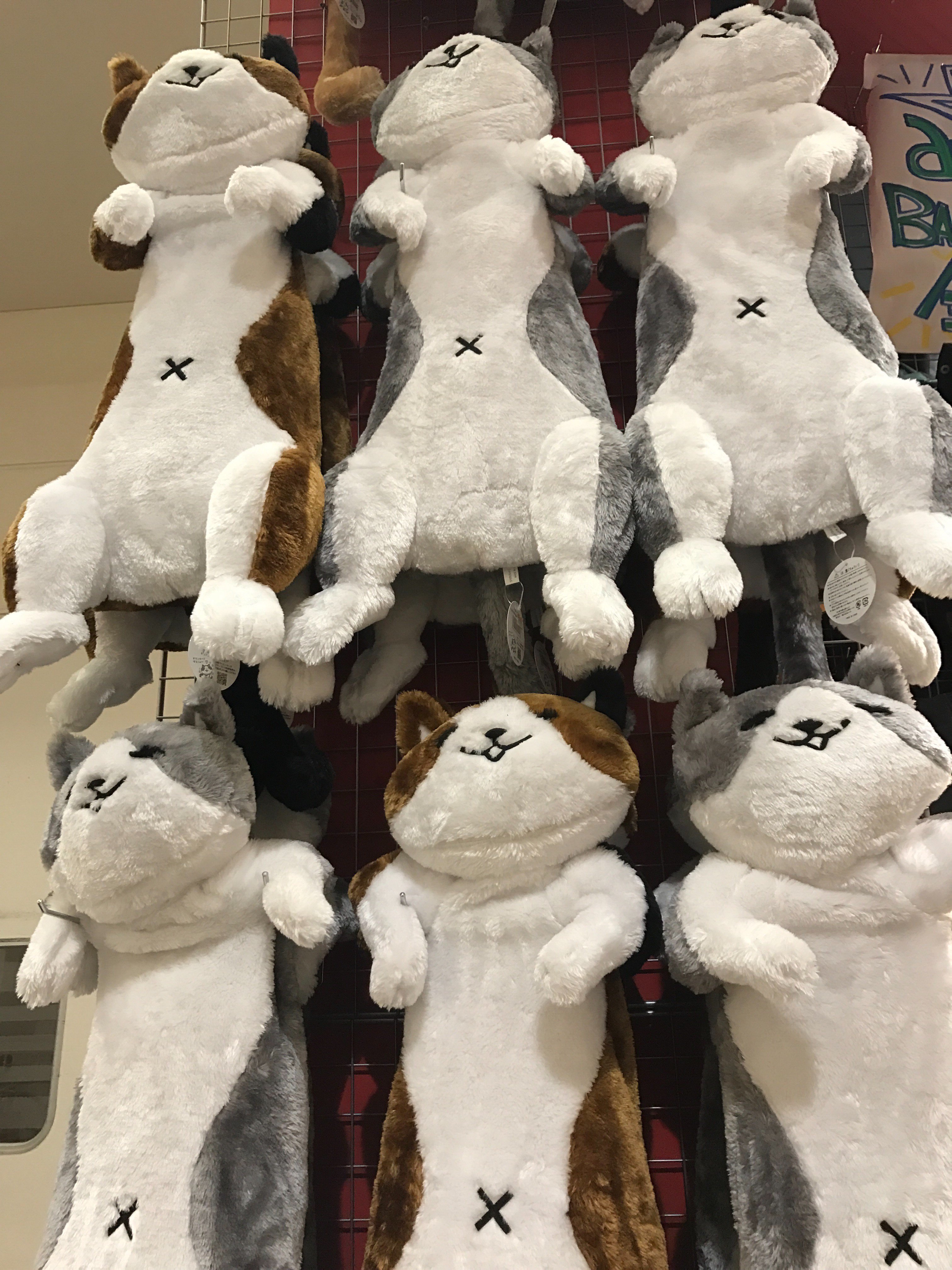 ヴィレッジヴァンガードイオン奈良登美ヶ丘 新入荷商品一気にご紹介 全てに1 31まで使える10 Offクーポン券ご利用可能ですヨー ハリボーラッキーバック 10 ベジバック 右 3800左 2600 大人気 焼き干し芋 3 モンドセレクション銀賞