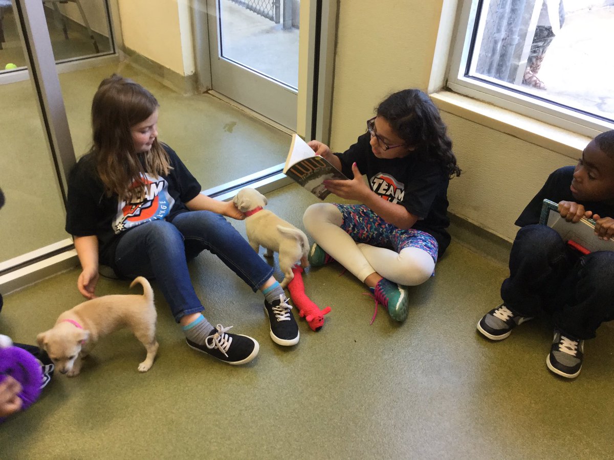 Ward Team Up Project (@wardteamup) on Twitter photo More pics of our fun trip to <a href="/sahumane/">SA Humane Society</a>! Building community & literacy with <a href="/SBGBofficial/">サウナボードゲーム部</a> <a href="/WardWranglers/">Dr.Joe Ward ES</a> More pics of our fun trip to <a href="/sahumane/">SA Humane Society</a>! Building community & literacy with <a href="/SBGBofficial/">サウナボードゲーム部</a> <a href="/WardWranglers/">Dr.Joe Ward ES</a>