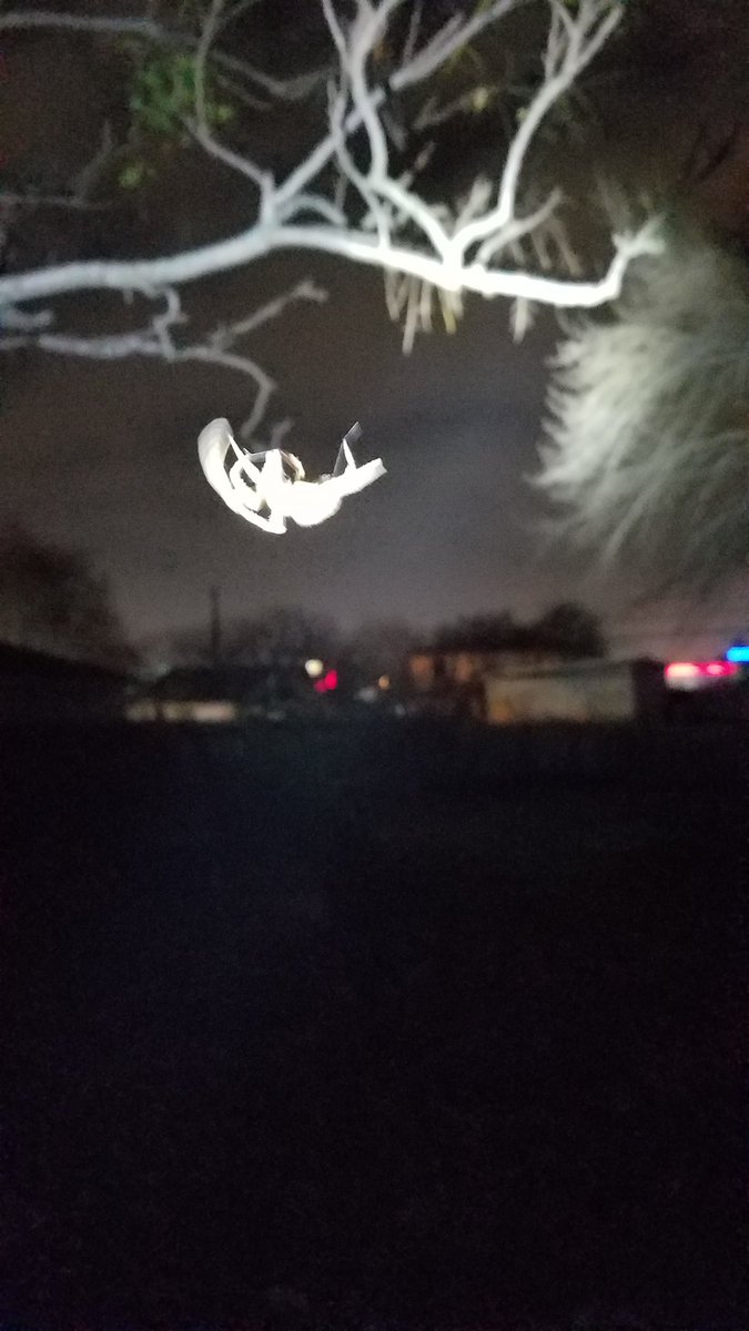 JohnGoodBigAir's tweet photo. This spider bounced off my forehead! Lol

#spideronmyforehead #superfreakingawesome https://t.co/wv8xRkSHYJ