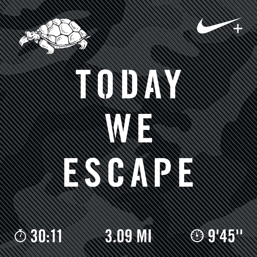 elebball's tweet photo. Ran 3.09 mi with Nike+ Run Club #leanstrongfast #cardiacathletes #onerunatatime https://t.co/JwQ69DJMIR