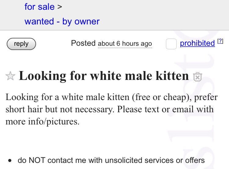 BeverlyHillsCEO's tweet photo. I love fucking with random ass people on Craigslist 😂💀 https://t.co/DuxsvnM6Ww