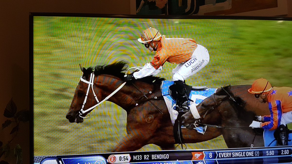 vcarternz's tweet photo. Yahoo exciting ride #tightlign wish I could have been there!! ππ @deejohnson123 @marshracing @mrjcarternz https://t.co/dEETOrco7P