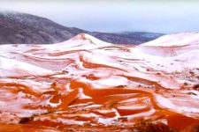 Algérie : il a neigé au Sahara ! via <a href="/jeune_afrique/">Jeune Afrique</a> jeuneafrique.com/396968/societe…