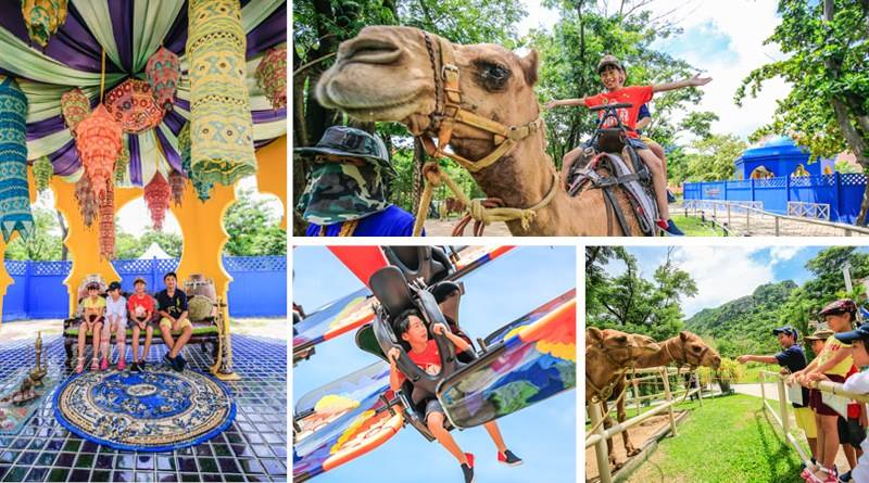 CamelRepublic's tweet photo. #Ridingcamel #Extreamplay #Animalzone #สวนอูฐชะอำ #familytime #Camelrepublic #Chaam #Huahin #Phetburi ความสนุกรอคุณอยู่@CamelRepublic https://t.co/jHWGqbYG4N