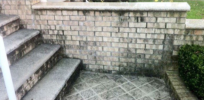 Eco Clean Industries tweet media