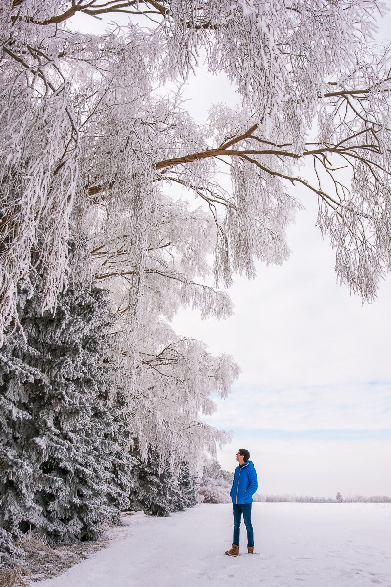 fotoconcentrate's tweet photo. Got out to shoot the frost today!! Shot details: Fujifilm X-T2, 16-55mm @ 16mm, 1/200s at f/8.0, ISO 200. https://t.co/DV7pu9YPm3
