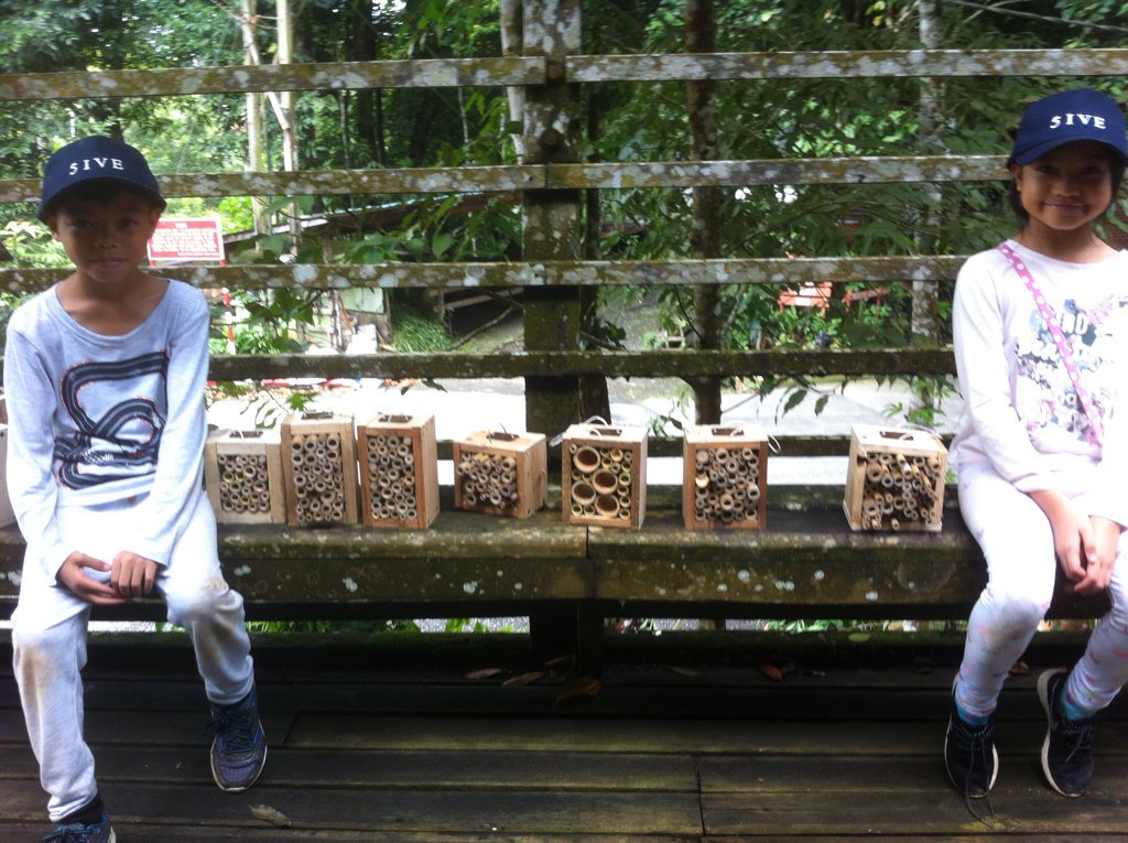 year5miritrip's tweet photo. Mr Legg and students have worked hard to finish their bug hotels ... https://t.co/77F3RfRp8t