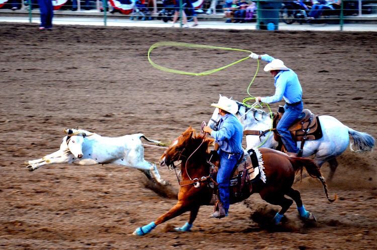therodeotrail's tweet image. Happy #TeamRoperTuesday 🤘🏻
📸 - Unknown 
#RodeoChat