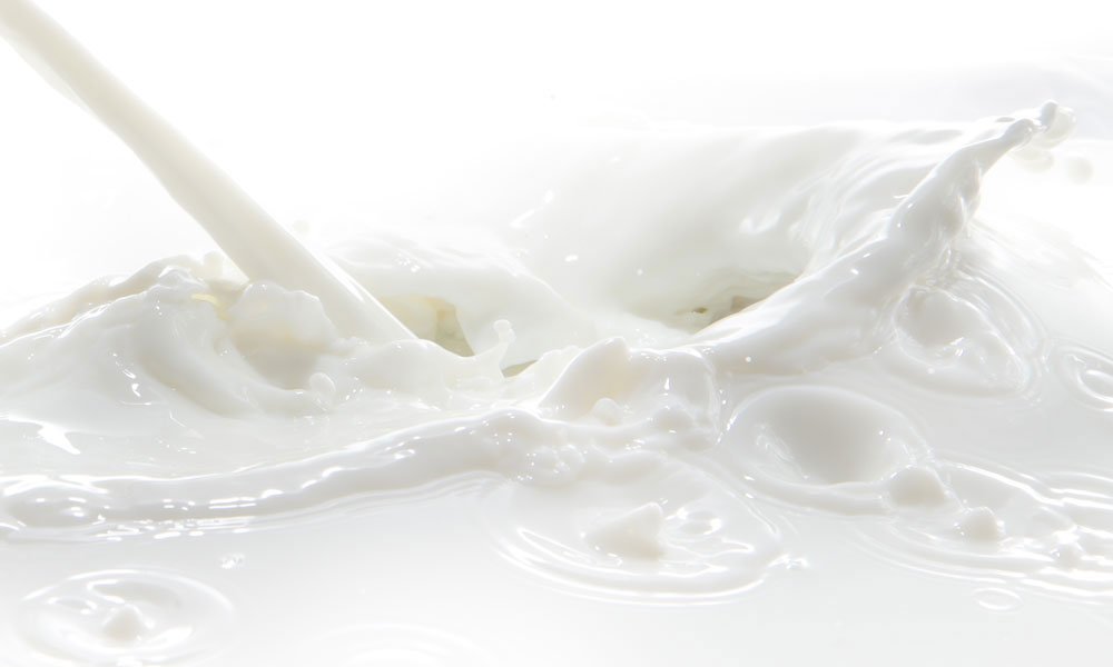 getsmallfarms's tweet photo. ACCC forums will provide a voice for dairy farmers https://t.co/QmuJ9fCEt4 #dairy #industry https://t.co/c7YEYNkeDY