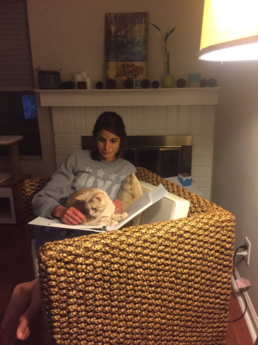 BuffyOneEyedCat's tweet photo. I'm helping my mom study! #study #catsaresmart #workhard https://t.co/gzvUcKWKz2