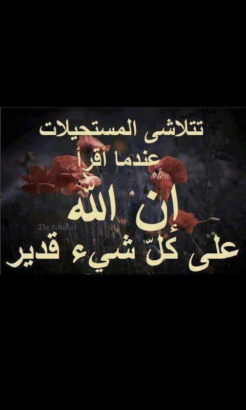 حورية عدن❤️ (@fatemasaidsaid) on Twitter photo 