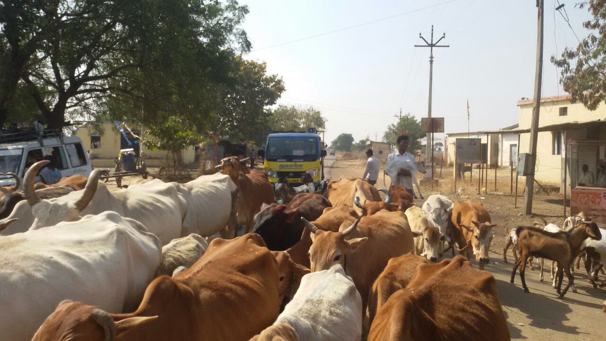 karanjagas's tweet photo. (NAGPUR TERRITORY) WE HAVE DO CYLINDER DELIVERY FOR RULER AREA  BY DELIVERY VAN WITH SPEAKER .(M/S KARANJA GAS , KARANJA) https://t.co/pOTT1CwAfn