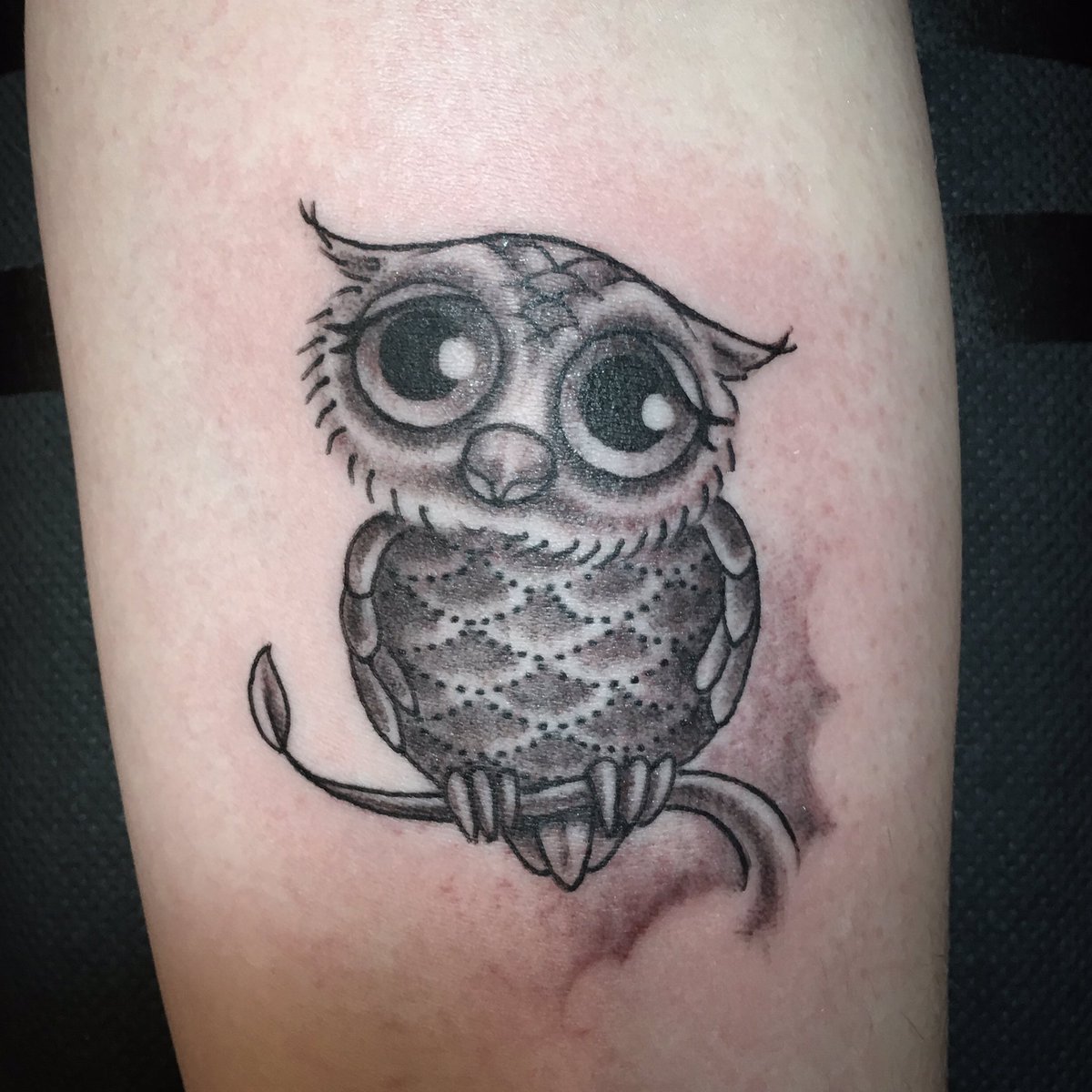 HighVoltageTat's tweet photo. Look at this lil' cutie 🦉- Emma from Sweden 🇸🇪 got this adorable guy from @sinister_apples today!! Woohoo. https://t.co/0PoFfcO0yv