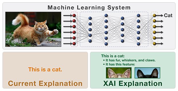 KirkDBorne's tweet image. Explainable #AI (XAI) = #MachineLearning techniques that produce more understandable models: darpa.mil/program/explai… #BigData #DataScience
