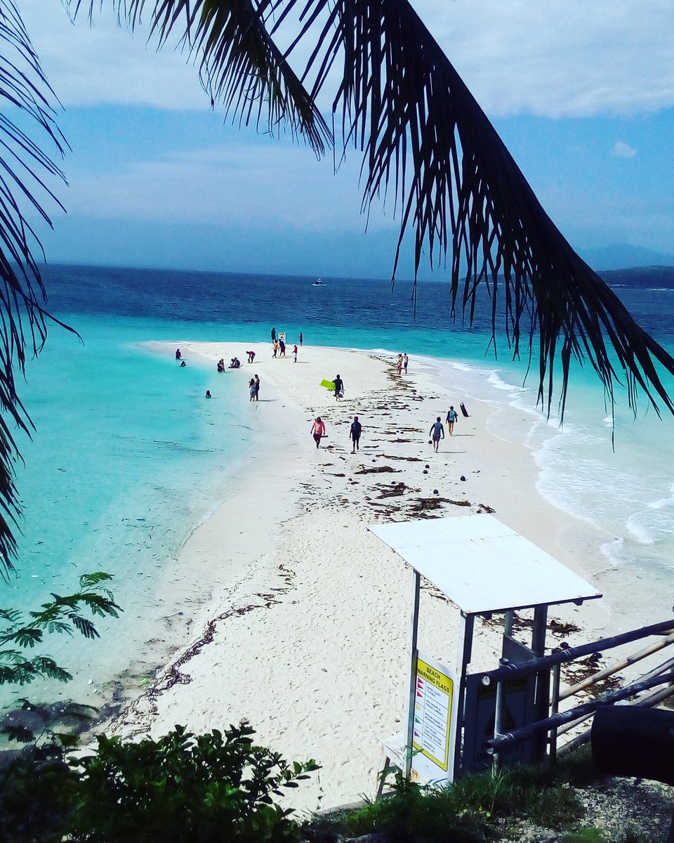 anachan1213's tweet photo. #ζ΅· #γ»γ #γΉγγγ³ #γγ£γͺγγ³ #cebu #philippines #sumilon #sandbar #sumilonsandbar #sea #beach #sumilonbluewater https://t.co/PCZSrkSCbZ