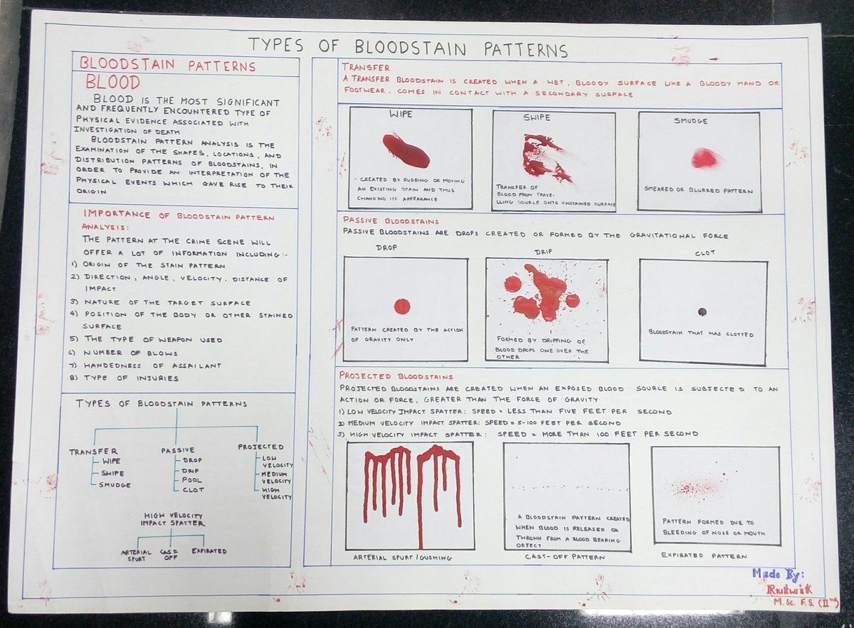 Blood Stain Patterns Magnificent Decorating Design Blood Stain Patterns Magnificent Decorating Design