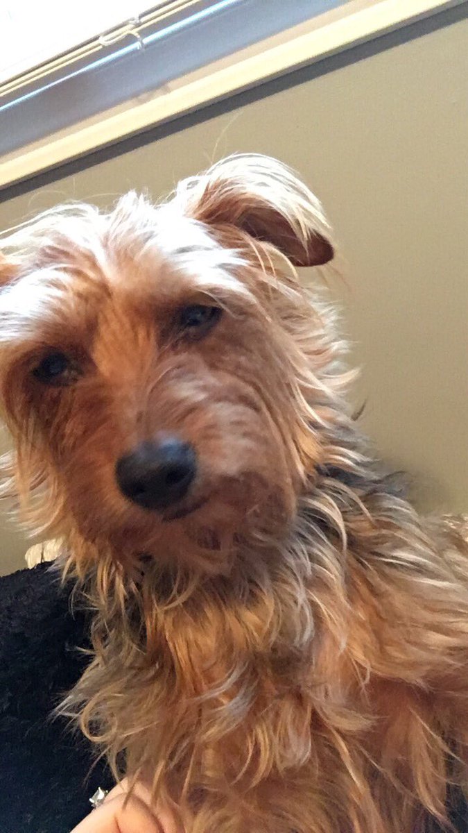 brittmcdo's tweet photo. Bijoux is still way funnier https://t.co/3raWFAcBAL