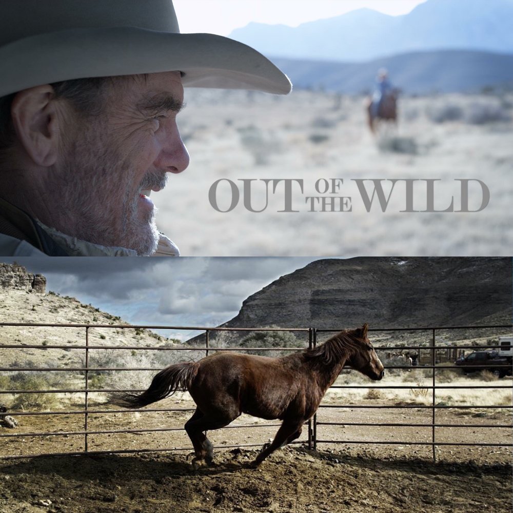 OUT OF THE WILD - Join the early bird movie list at bit.ly/1RQD26M #film #moviemaking #horses Please RT