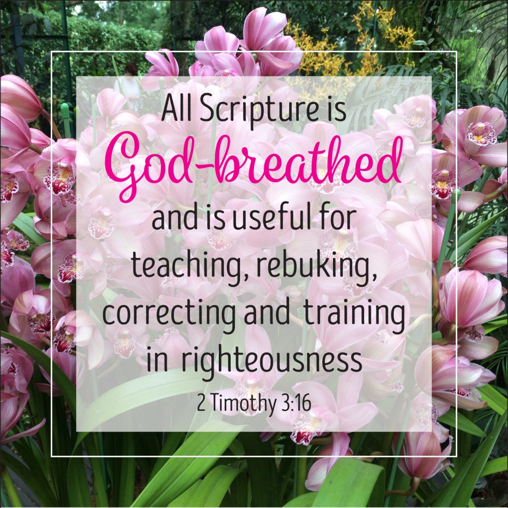 All Scripture is God-breathed daisydevotions.wordpress.com/2017/01/25/all…