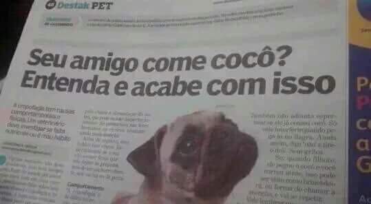 elikatakimoto's tweet photo. Sim. Tem uns que acham que quanto mais mortos em presídios melhor para a sociedade. https://t.co/7o6vioUf0q
