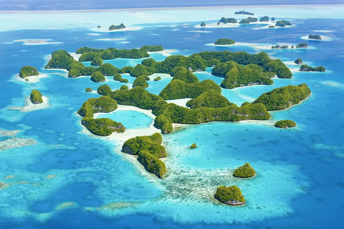divendry's tweet photo. Where I'd rather be Wednesday: Palau! @PalauDive #travel #scuba #notatwork #humpday #divendry
https://t.co/pM1Agmtosg https://t.co/bF26XjAMcL