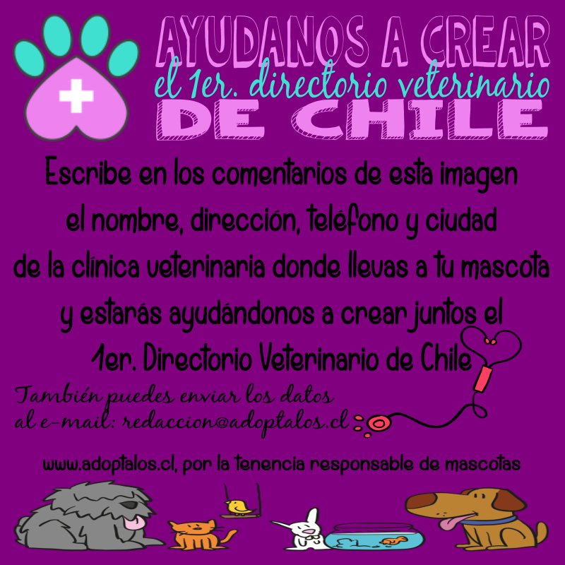 Adoptalos Chile tweet media