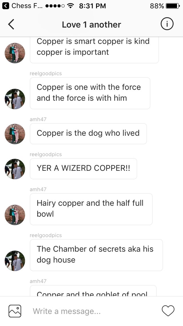 meg_nix's tweet photo. What am I marrying into https://t.co/LPzLF7QTgi