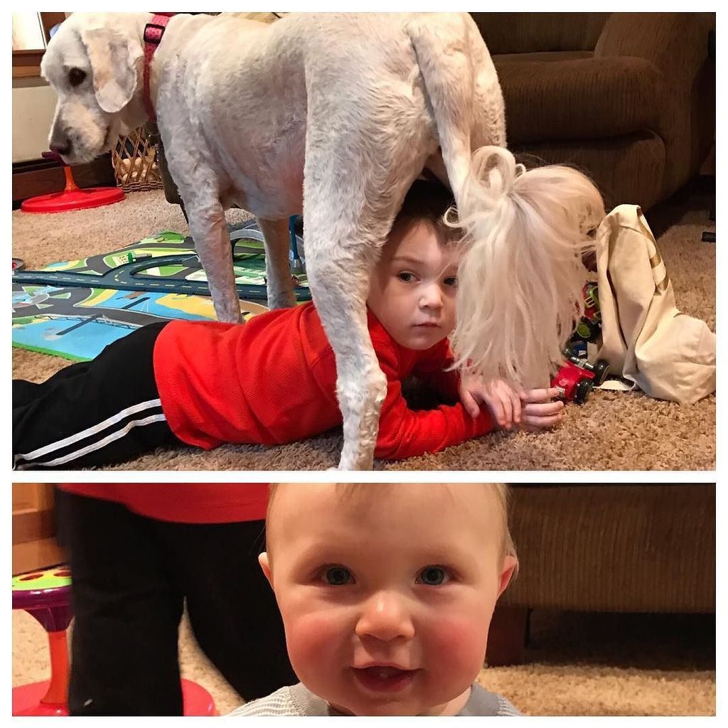 TerryRossi's tweet photo. My three little ones Sadie,Liam and Declan @sadielady46 #babyliam #babydeclan https://t.co/CpAdlD7a7N https://t.co/hFNn7OtRAQ