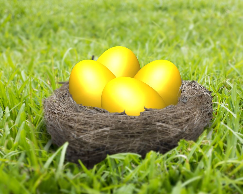 WeAllGrowLatina's tweet photo. Be proactive, take control and grow your nest egg in 2017. Follow these 15 creative tips and succeed! https://t.co/Fn0XQftyep #MasConHRBlock https://t.co/cxUARimWyh