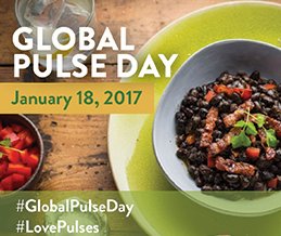 pulsecanada's tweet photo. Tomorrow is #GlobalPulseDay, a day to bring public awareness to the impact pulses have on the health of people and the planet! #LovePulses https://t.co/2foUfMaBgz