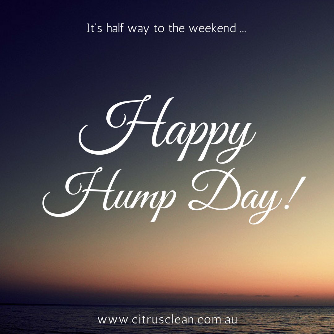 citrus_clean's tweet image. #HappyHumpDay #wednesday we're nearly there #citrusclean #humpday