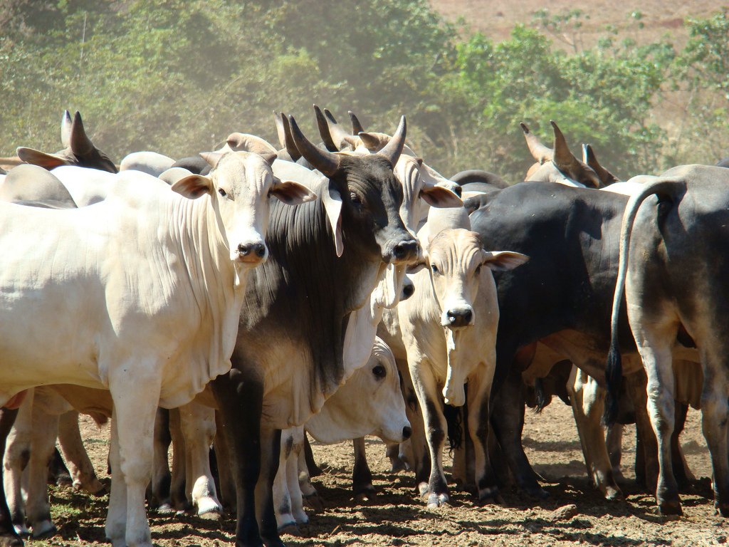 Governo de S. Paulo tweet media
