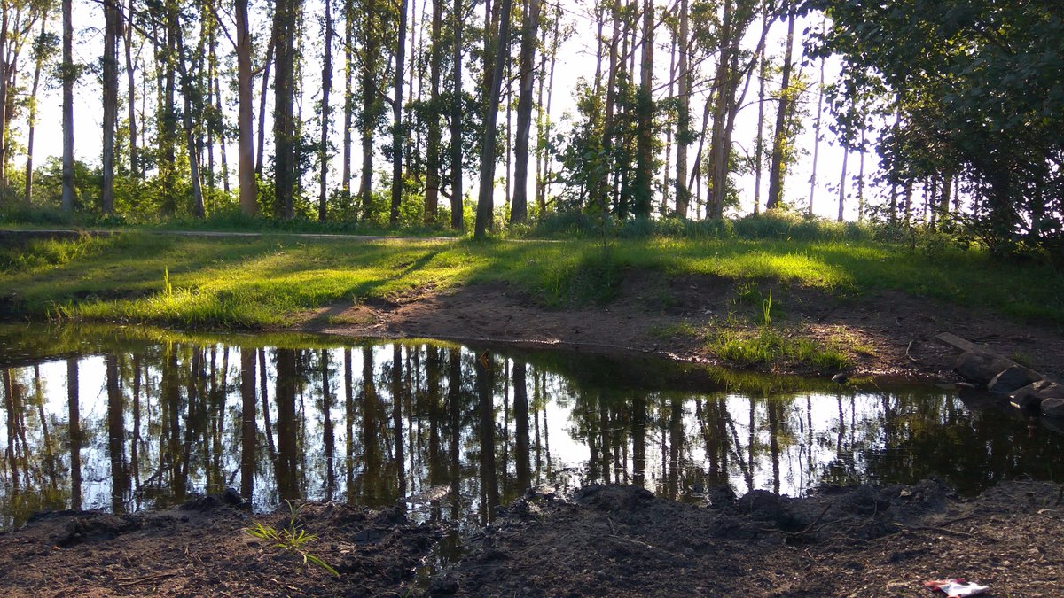 mateo_aliani's tweet image. @xiaomi, well done for one of your year-old phones😉 #xiaomi #redmi #note3pro #camera