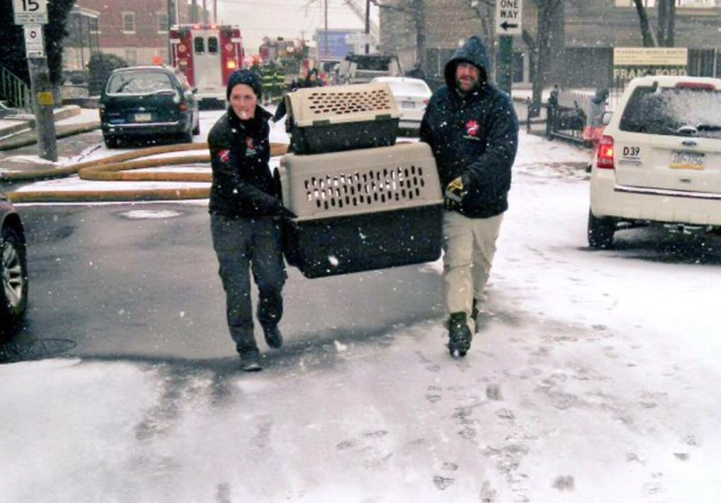 I ❤️@RedPawRelief. They help reunite pets with families after fires and disasters. <a href="/PhillyFireDept/">Philadelphia Fire</a> asks for them when pets are in need!