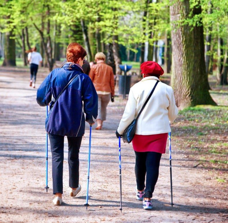 PhysioCan's tweet photo. Don’t Sit Still: the negative effects of immobility #seniorshealth #exerciseismedicine #physiocanhelp https://t.co/6cVtwIM8sx https://t.co/yEFha7cTqT
