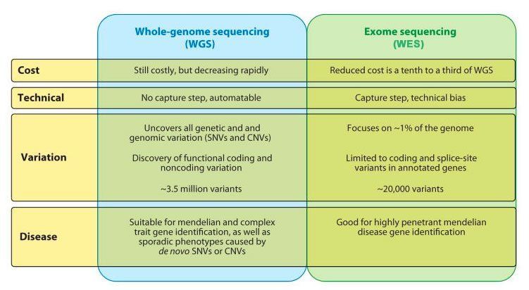 suregenomics's tweet photo. Diffs between #WGSdata and #WESdata are evident. #WGS 99.992% of your data #WES .008% of your data. Learn more about yourself @suregenomics https://t.co/eDP4Dtt8Dz
