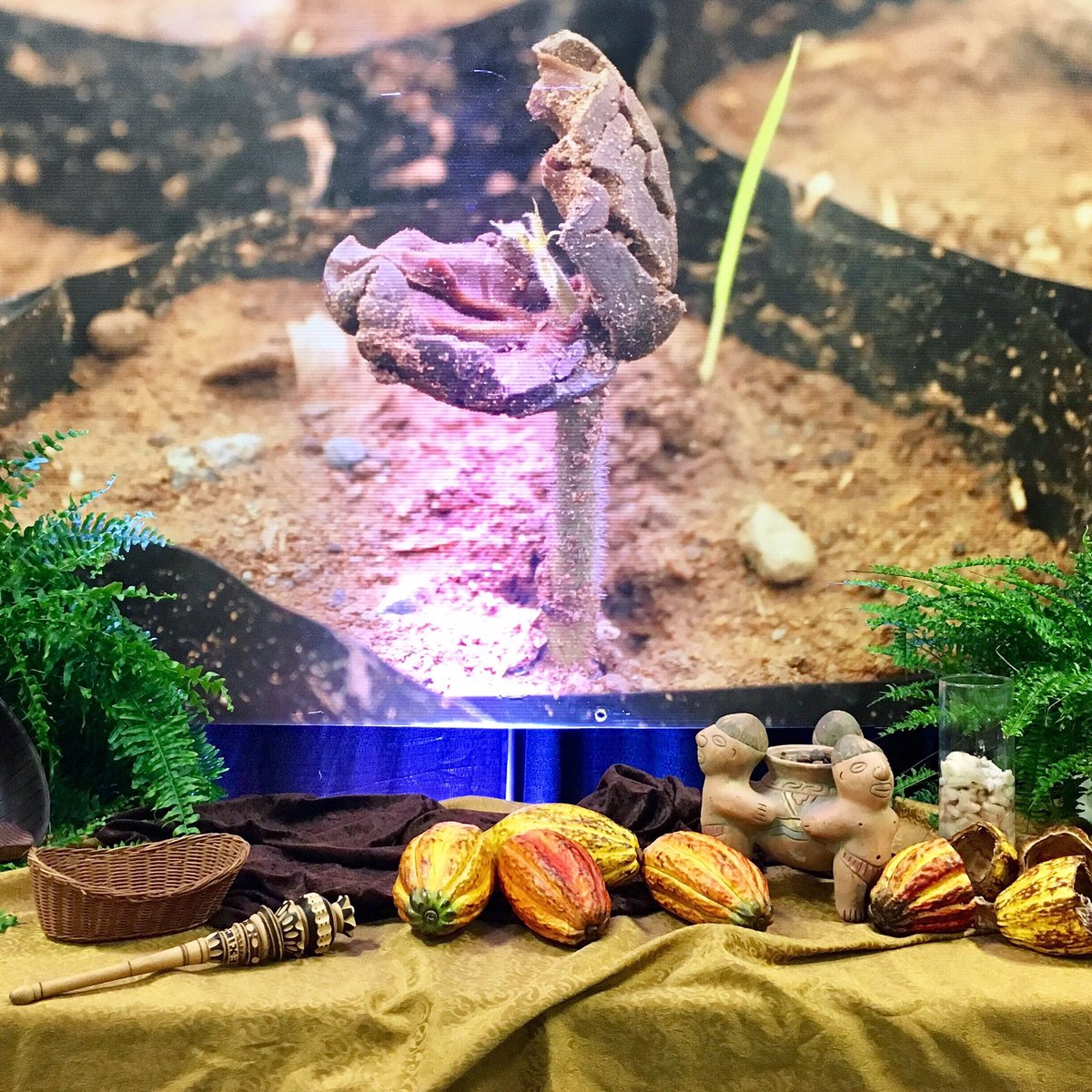 nwchocolate's tweet image. 🌟2017 Dates Announced!🌟 Chocolate Lovers will unite again for 9th Northwest Chocolate Festival on Nov 11-12, 2017. See you there! ✌🏼️❤️🍫