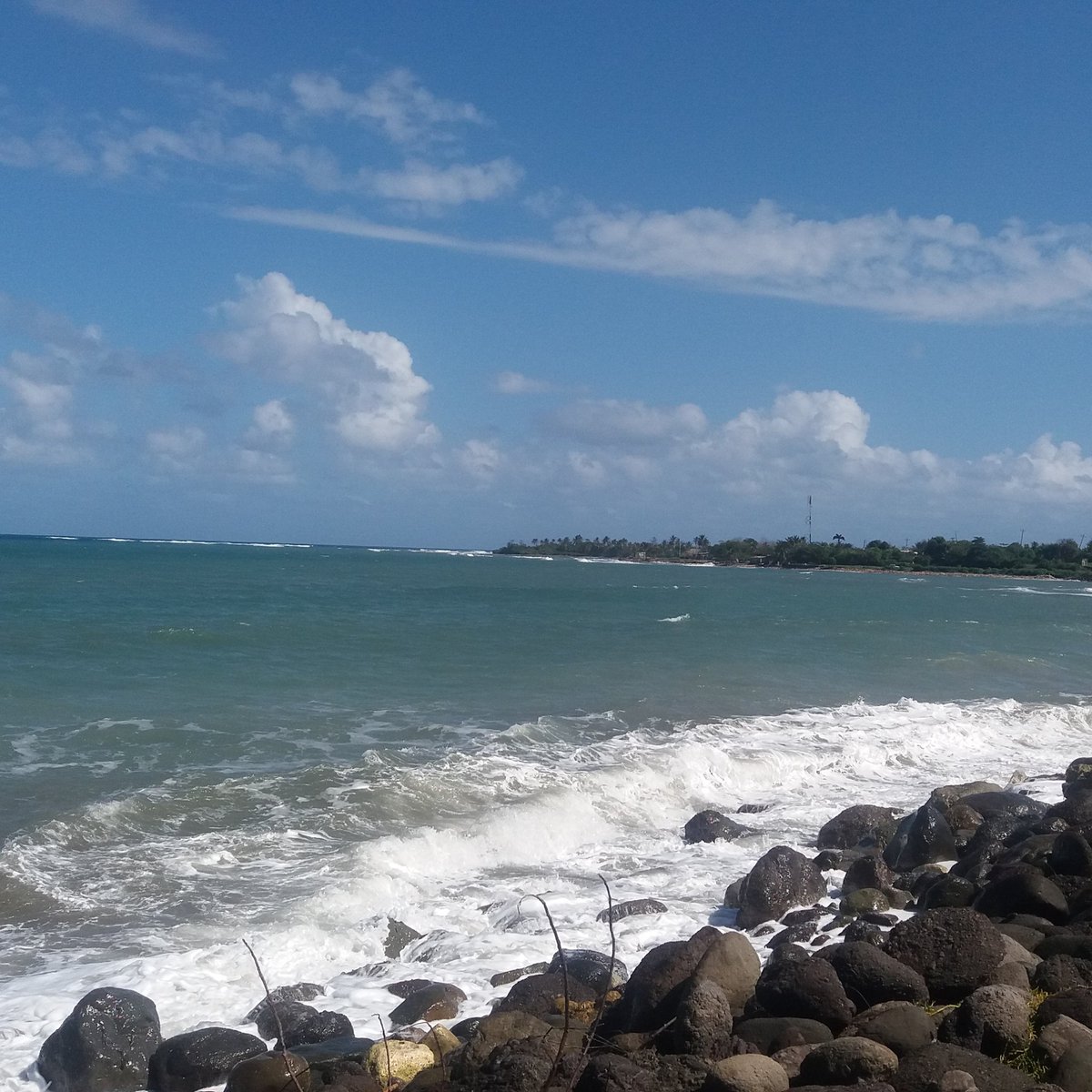 Earlier today in Portland...