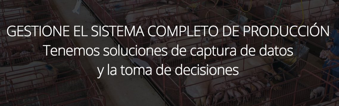PigKnows's tweet photo. Gestione el sistema de producción porcina con #PigKnows https://t.co/dD1OEM0qzM https://t.co/aNYQ8pbbcG