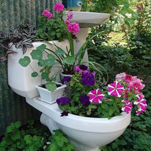 arizonapottery's tweet photo. OK here's a interesting idea. Turn a toilet into a garden planter. #odd #oddpots https://t.co/5vquZf1Xy4