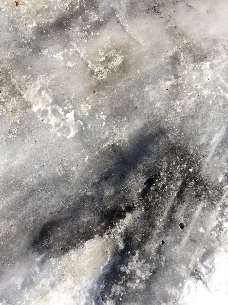 thejohnreid's tweet photo. Free consulting advice for #RiskManagers If your business is open, make sure you do your part to clear the ice for those coming to see you. https://t.co/SmKmil83YN