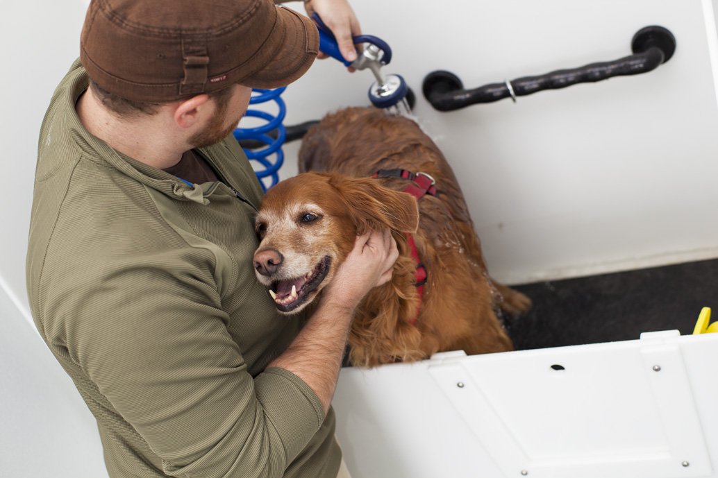 SheaApartments's tweet photo. At Lucent Blvd Apartments in Highlands Ranch Colorado, pets are family. Lucent Blvd Apartments https://t.co/WlXVOYow0V