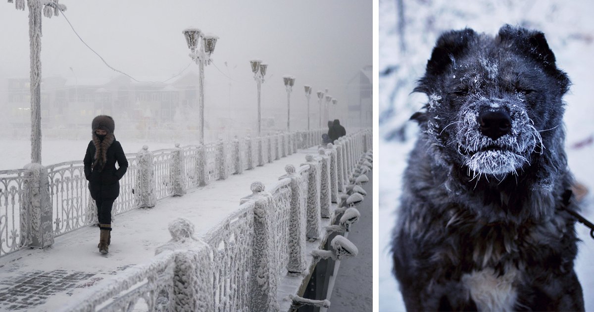 #Photographer Travels To The Coldest Village On Earth Where The Temperature Can Reach -71.2C (-96F) via <a href="/boredpanda/">Bored Panda</a> buff.ly/2iz4hMW